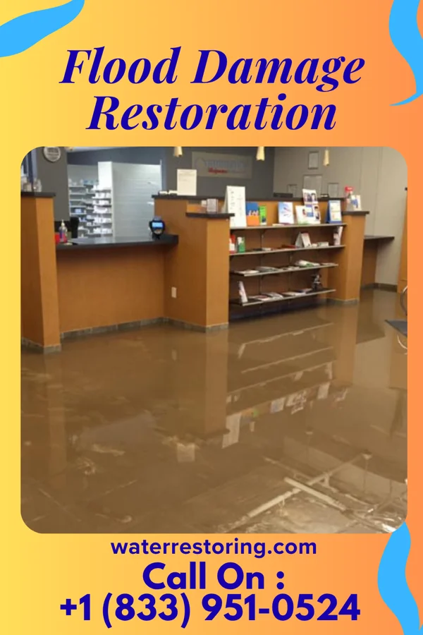 Flood Damage Restoration in Lyons Switch, OK