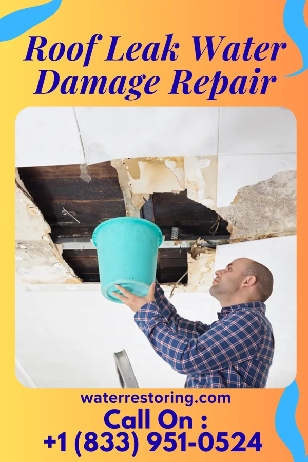 Roof Leak Water Damage Repair in Lyons Switch, OK